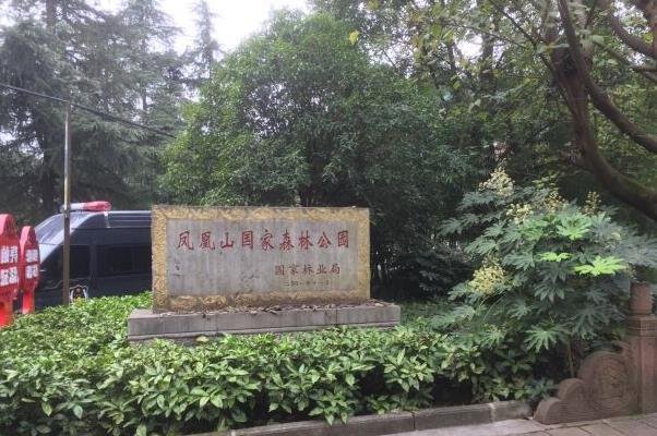 遵义凤凰山国家森林公园游玩攻略