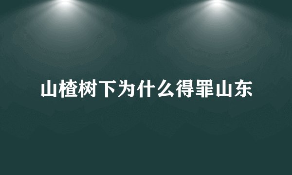 山楂树下为什么得罪山东