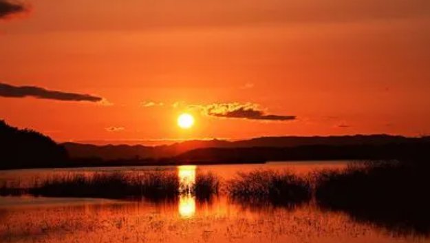 夕阳无限好下一句幽默是什么?