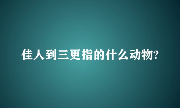 佳人到三更指的什么动物?