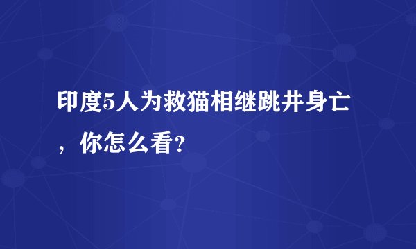印度5人为救猫相继跳井身亡，你怎么看？