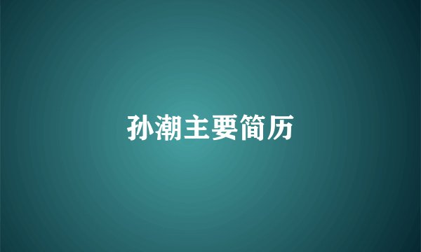 孙潮主要简历
