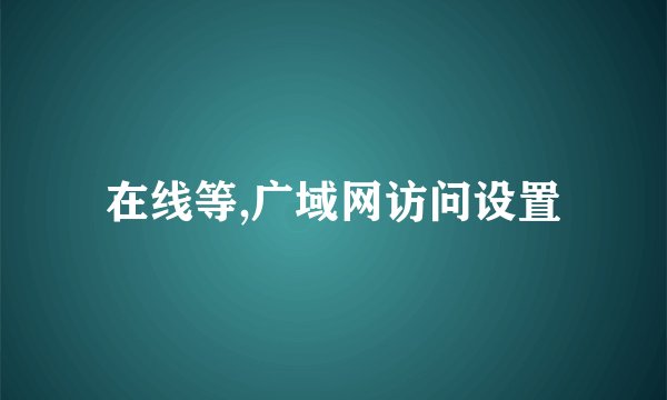 在线等,广域网访问设置