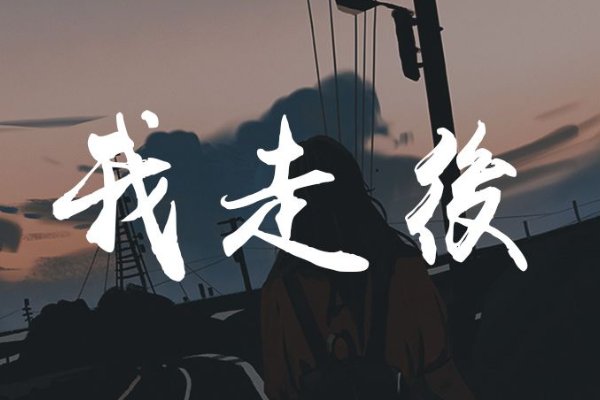 我走了你别再难过心里有话都不想再说是什么歌