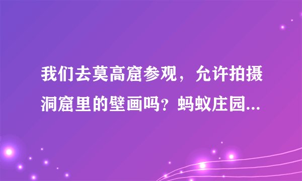 我们去莫高窟参观，允许拍摄洞窟里的壁画吗？蚂蚁庄园今日答案