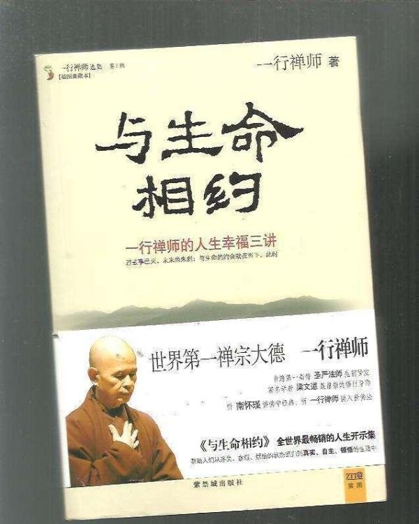禅宗大德一行禅师圆寂