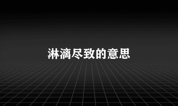 淋漓尽致的意思