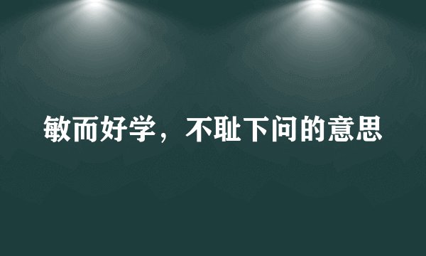 敏而好学,不耻下问的意思