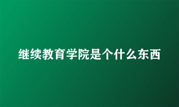 继续教育学院是个什么东西
