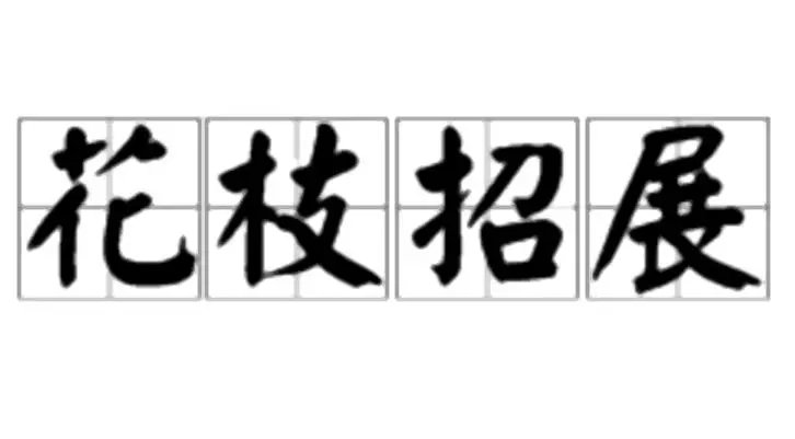 用花枝招展造句子