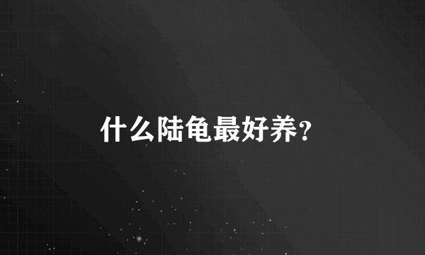 什么陆龟最好养？