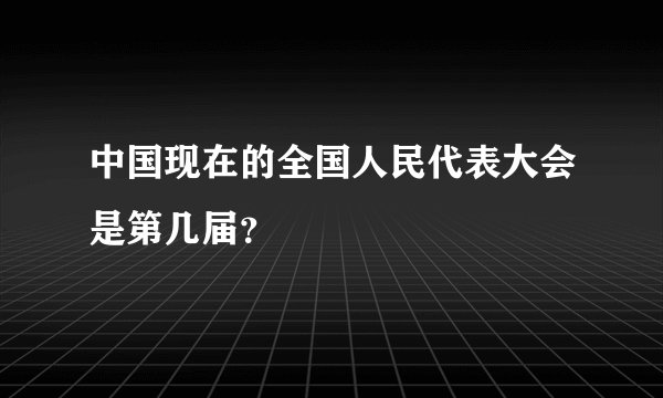 中国现在的全国人民代表大会是第几届？