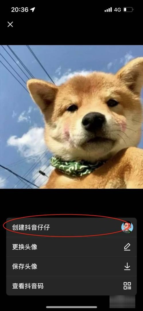 抖音动态头像怎么设置上去