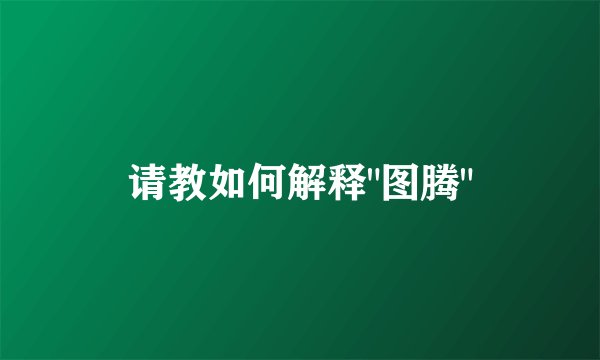 请教如何解释