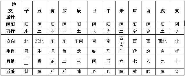 十二地支的读音分别是什么？