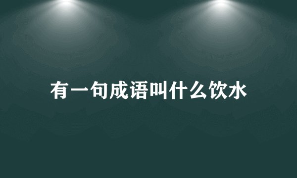 有一句成语叫什么饮水