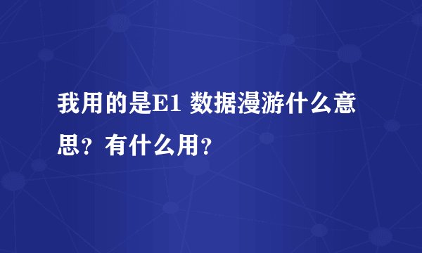 我用的是E1 数据漫游什么意思？有什么用？