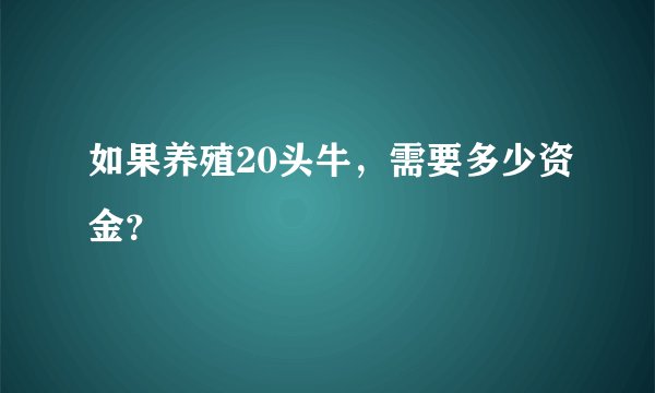 如果养殖20头牛，需要多少资金？