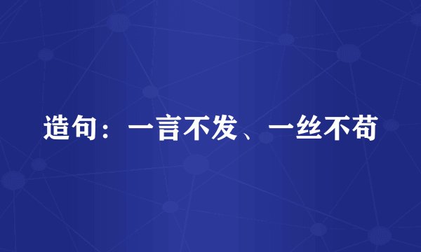 造句：一言不发、一丝不苟