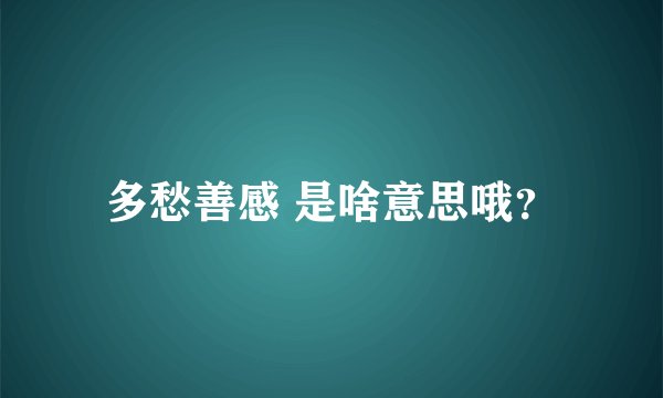 多愁善感 是啥意思哦？