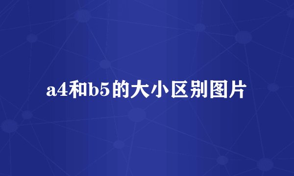 a4和b5的大小区别图片