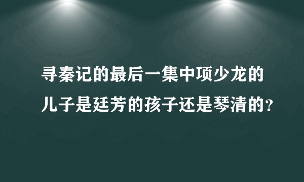 寻秦记的最后一集中项少龙的儿子是廷芳的孩子还是琴清的？