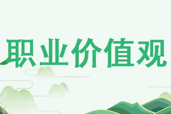 我的职业价值观简短