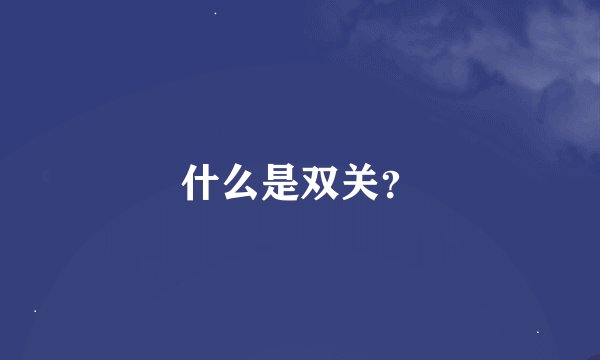 什么是双关？