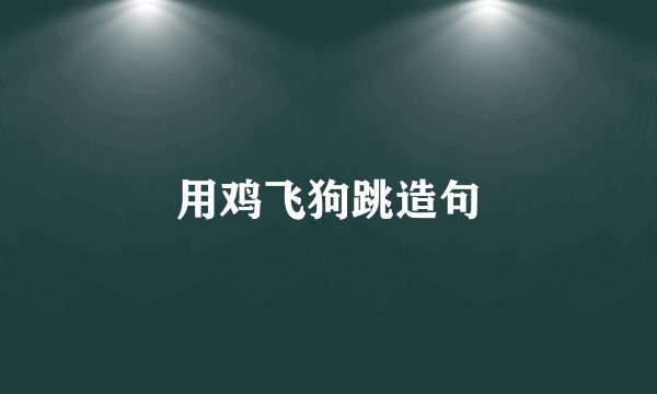 用鸡飞狗跳造句