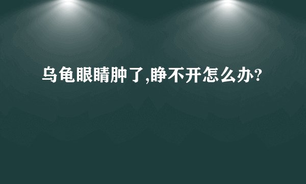 乌龟眼睛肿了,睁不开怎么办?