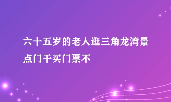 六十五岁的老人逛三角龙湾景点门干买门票不