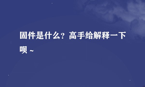 固件是什么？高手给解释一下呗～