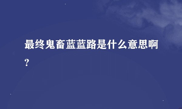 最终鬼畜蓝蓝路是什么意思啊?