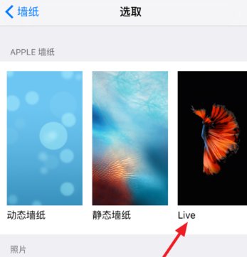 苹果7P动态壁纸用了怎么没声音