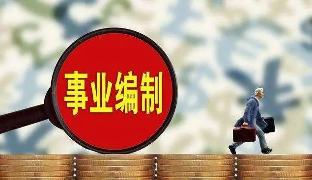 编制是什么意思