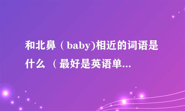 和北鼻（baby)相近的词语是什么 （最好是英语单词 打成汉子的形式）
