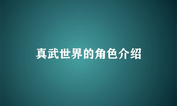 真武世界的角色介绍