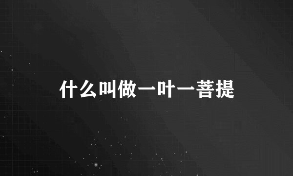 什么叫做一叶一菩提