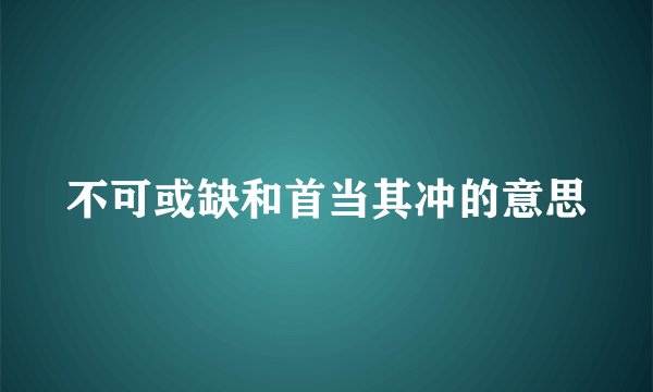不可或缺和首当其冲的意思