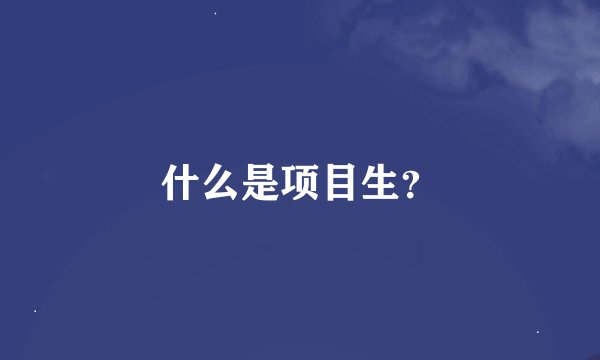什么是项目生？