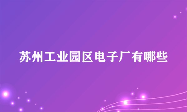 苏州工业园区电子厂有哪些