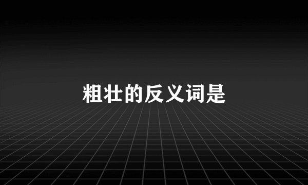 粗壮的反义词是