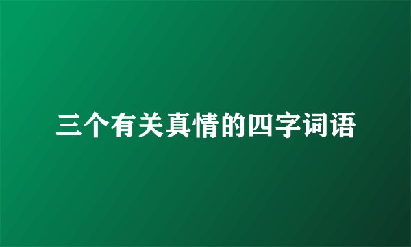 三个有关真情的四字词语