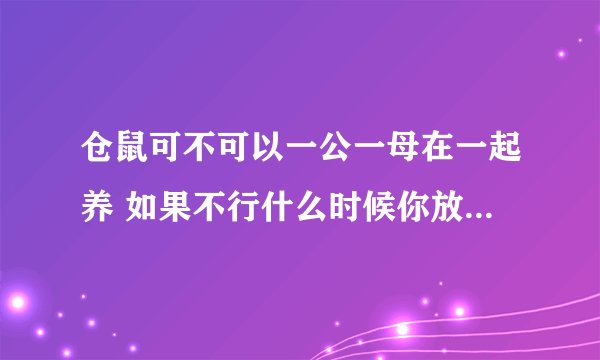 仓鼠可不可以一公一母在一起养 如果不行什么时候你放到一起养 繁殖