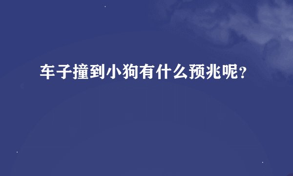 车子撞到小狗有什么预兆呢?