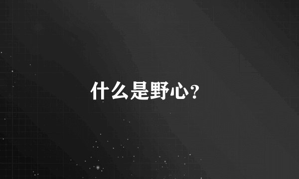 什么是野心？