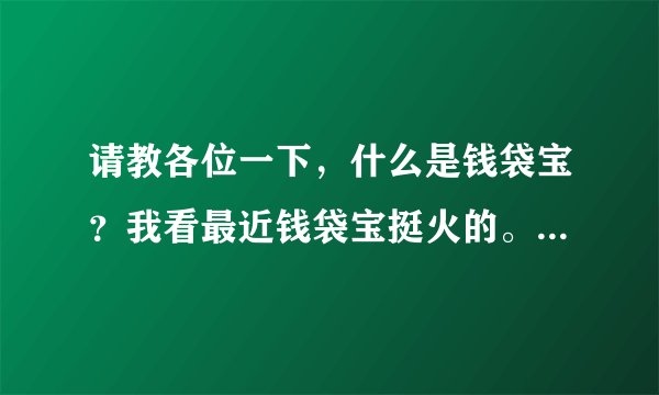 请教各位一下，什么是钱袋宝？我看最近钱袋宝挺火的。如题 谢谢了