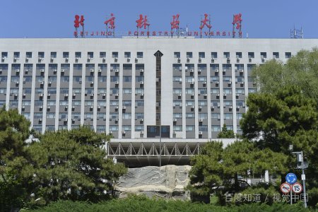 北京林业大学是985还是211?