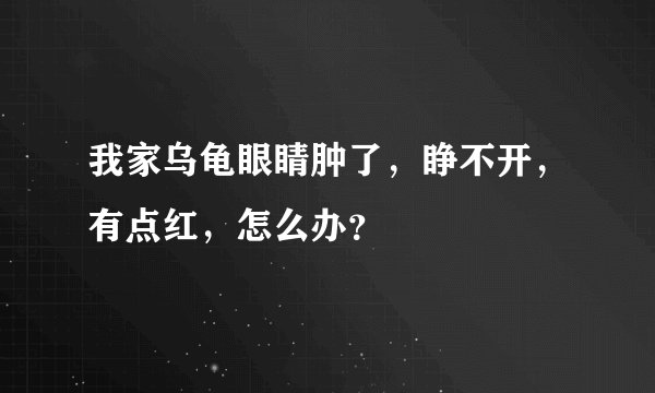 我家乌龟眼睛肿了，睁不开，有点红，怎么办？