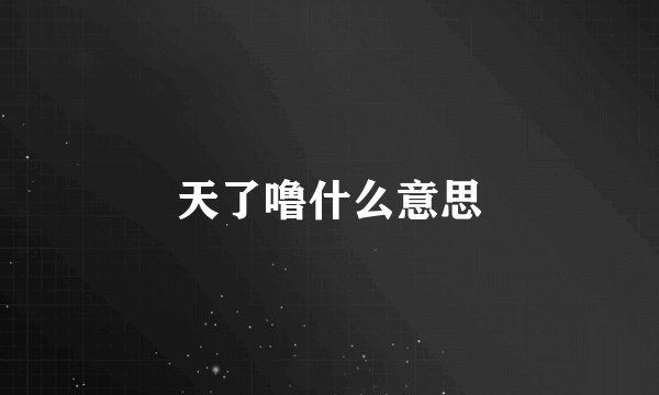 天了噜什么意思